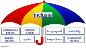 Inclusie